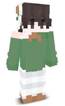 User's Minecraft appearance