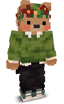 User's Minecraft appearance