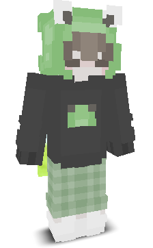 User's Minecraft appearance