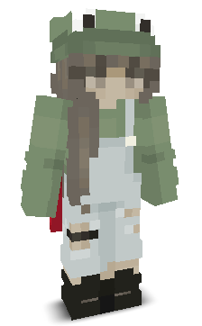 User's Minecraft appearance
