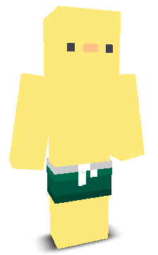 User's Minecraft appearance