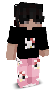 User's Minecraft appearance