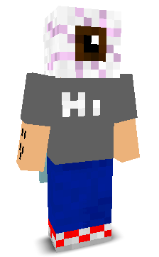 User's Minecraft appearance