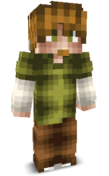 User's Minecraft appearance