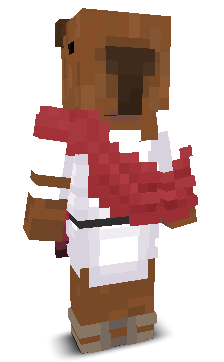 User's Minecraft appearance