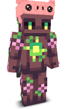 User's Minecraft appearance