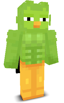 User's Minecraft appearance