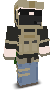 User's Minecraft appearance