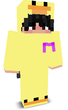 User's Minecraft appearance