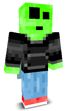 User's Minecraft appearance