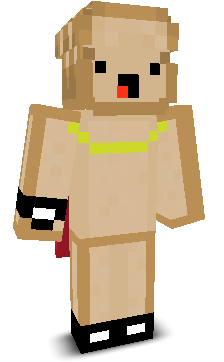 User's Minecraft appearance