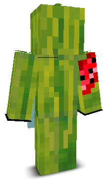 User's Minecraft appearance