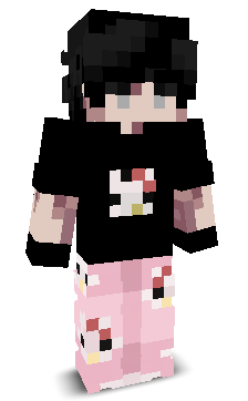 User's Minecraft appearance