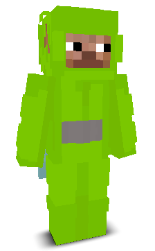 User's Minecraft appearance