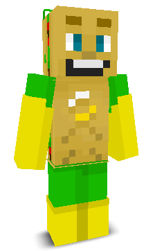 User's Minecraft appearance