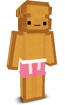 User's Minecraft appearance