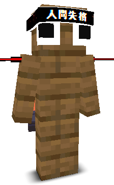 User's Minecraft appearance