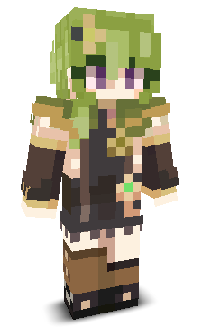 User's Minecraft appearance