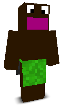 User's Minecraft appearance