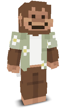 User's Minecraft appearance