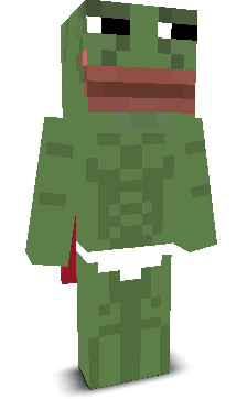 User's Minecraft appearance