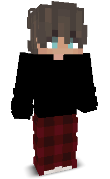 Skin gracza Airoxs