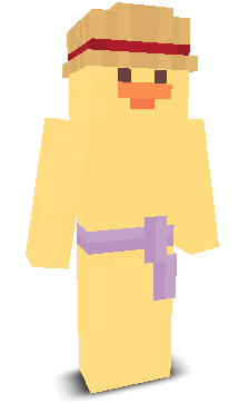 User's Minecraft appearance