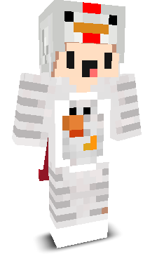 User's Minecraft appearance