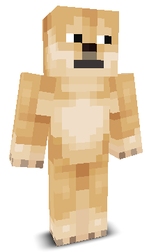 User's Minecraft appearance