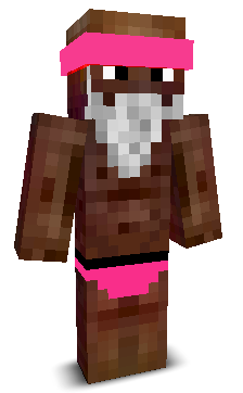 User's Minecraft appearance