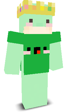 User's Minecraft appearance