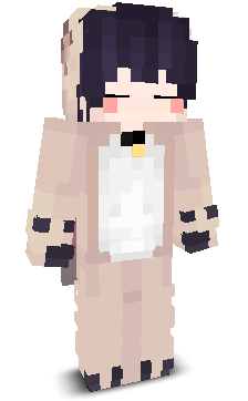 User's Minecraft appearance