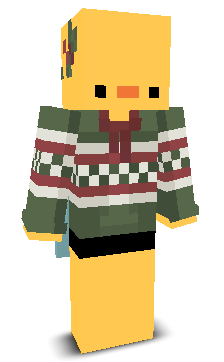 User's Minecraft appearance
