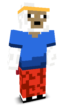 User's Minecraft appearance
