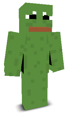 User's Minecraft appearance