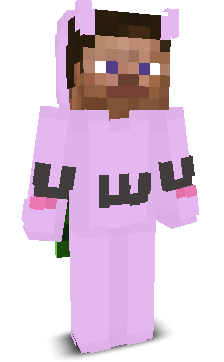 User's Minecraft appearance