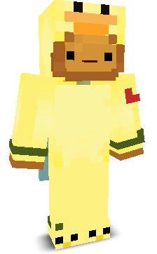 User's Minecraft appearance