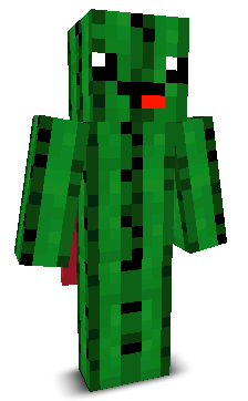 User's Minecraft appearance