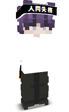 User's Minecraft appearance