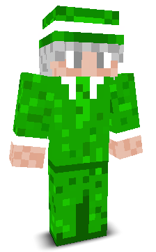 User's Minecraft appearance