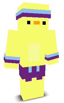 User's Minecraft appearance