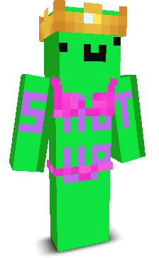 User's Minecraft appearance