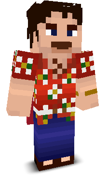 User's Minecraft appearance