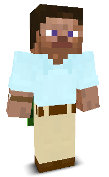 User's Minecraft appearance