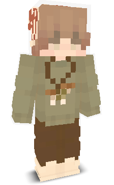 User's Minecraft appearance