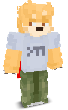 User's Minecraft appearance