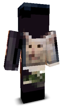 User's Minecraft appearance