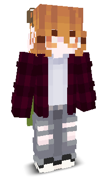 User's Minecraft appearance