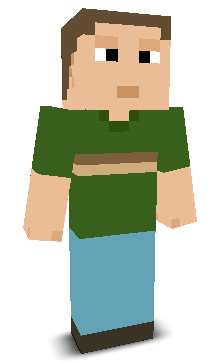 User's Minecraft appearance