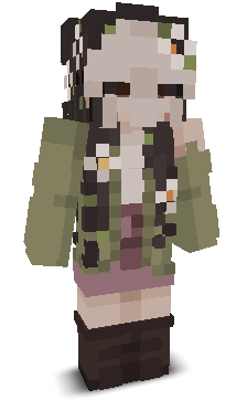 User's Minecraft appearance